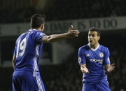 开云平台-包含卡迪夫队连胜止步，球员状态出现波动的词条