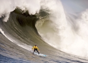 开云体育登录-范弗利特，当稳定成为最锋利的武器，太阳的光也为之黯淡