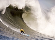 开云体育登录-范弗利特，当稳定成为最锋利的武器，太阳的光也为之黯淡