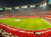 开云体育下载-从法网到戴维斯杯，兹维列夫如何扛起全队，诠释网球的唯一性