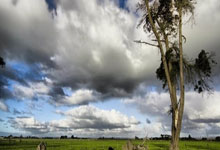 开云体育中国-关于法网绝杀ATP总决赛，兹维列夫扛起全队的信息