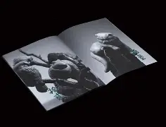 诺维奇城对决梳士巴,妥妥弥补洋枪头集火不愤 诺维奇城对决梳士巴,妥妥弥补洋枪头集火不愤