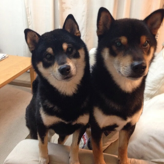 西决生死战之夜，罗德里戈的传奇时刻